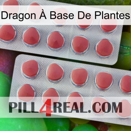 Dragon À Base De Plantes 19